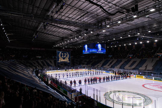 Djurgårdens supportrar med ett tifo