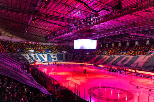 Djurgårdens supportrar med ett tifo