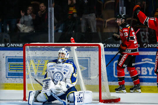 Leksands målvakt Mantas Armalis deppar