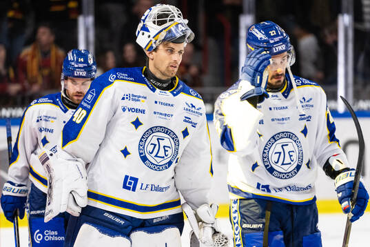 Leksands målvakt Mantas Armalis deppar