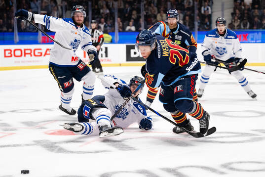 Djurgårdens Fredric Weigel