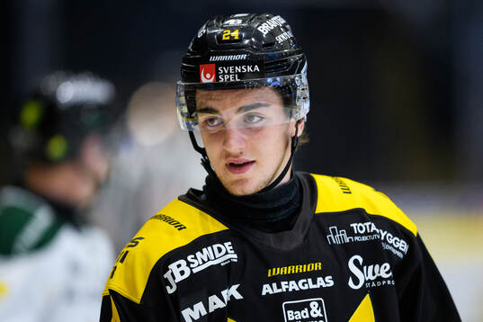 Västerås Joel Kant