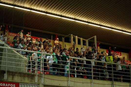 Supporters of Hammarby in the stands