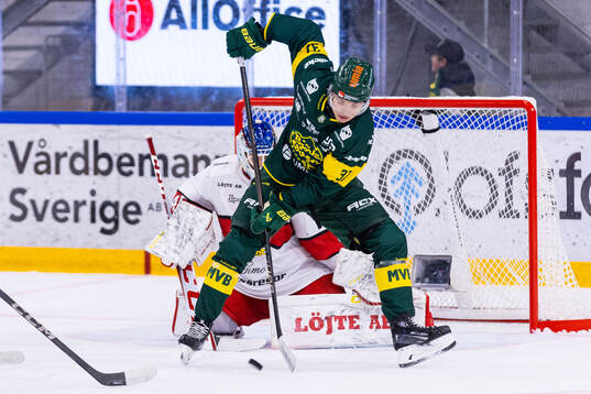 Björklövens Lenni Killinen
