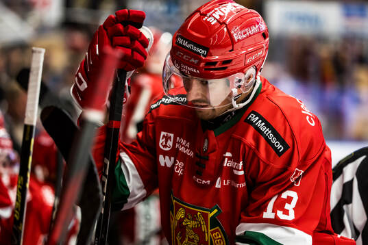 Moras Fabian Ilestedt