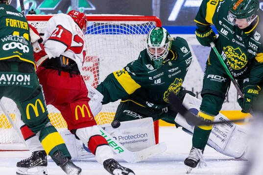 Björklövens målvakt Melker Thelin