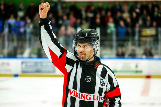 Domare Johan Magnusson