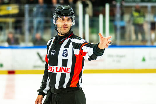 Domare Richard Magnusson