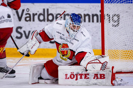 Almtunas målvakt Edvin Olofsson