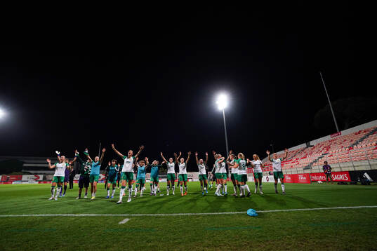 Hammarby celebrates