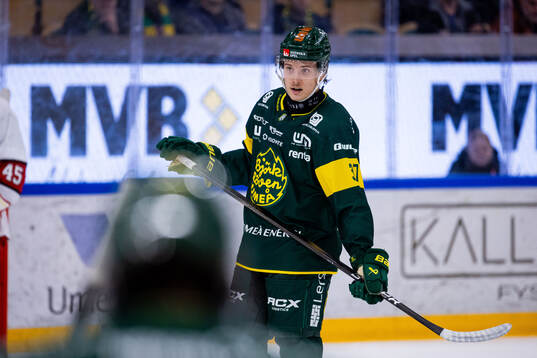 Björklövens Lenni Killinen