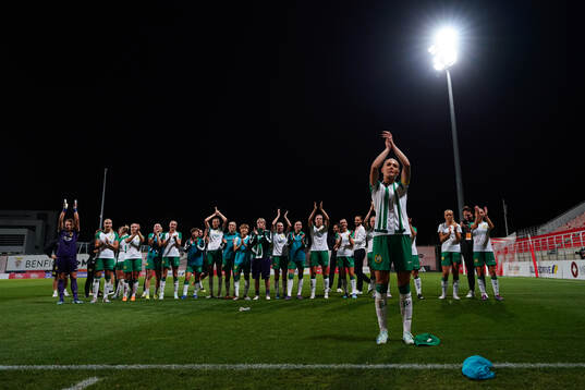 Hammarby celebrates