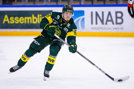 Björklövens Liam Dower Nilsson