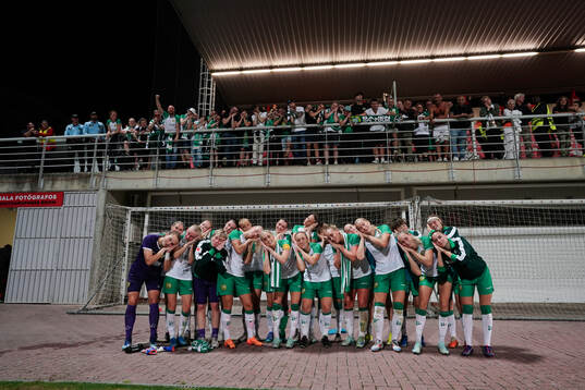 Hammarby celebrates