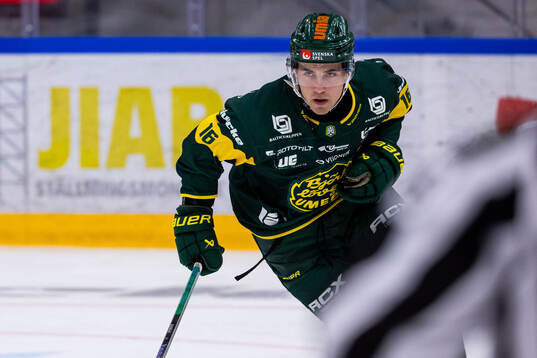 Björklövens Gustaf Kangas