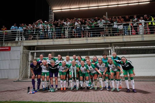 Hammarby celebrates