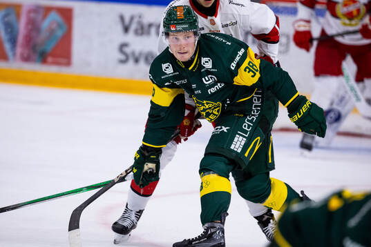 Björklövens Erik Andersson