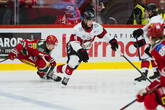 Malmö Redhawks Johan Olofsson och MoDos Riley Woods