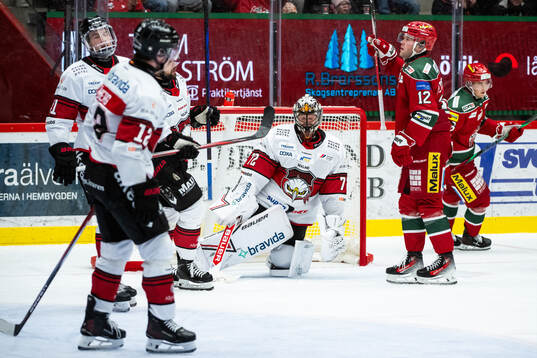 Malmö Redhawks målvakt Daniel Marmenlind deppar