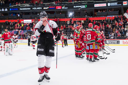 Malmö Redhawks Fredrik Händemark deppar