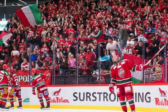 under ishockeymatchen i SHL mellan MoDo och Malmö Redhawks