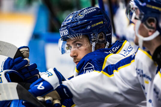 Leksands Arvid Eljas