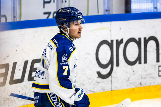 Leksands Marcus Karlberg