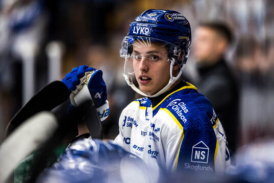 Leksands Anton Johansson