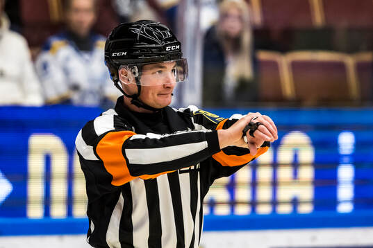 Domare Alexander Österberg