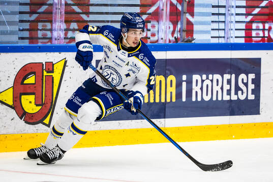 Leksands Lukas Vejdemo