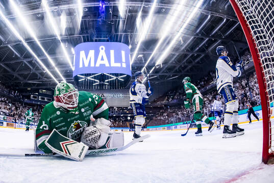 Rögles målvakt Arvid Holm deppar