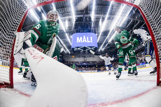 Rögles målvakt Arvid Holm deppar