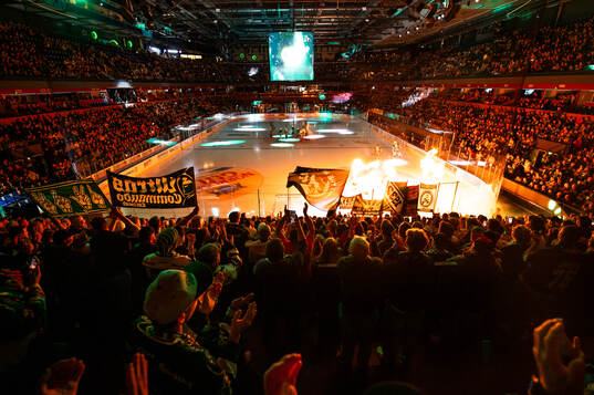 Spelarna äntrar isen