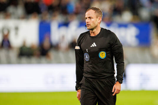 Domare Richard Sundell