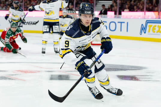 HV71s Hugo Pettersson