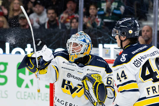 HV71s målvakt Hugo Alnefelt