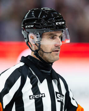 Domare Richard Magnusson