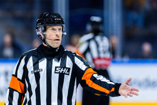 Domare Tobias Björk