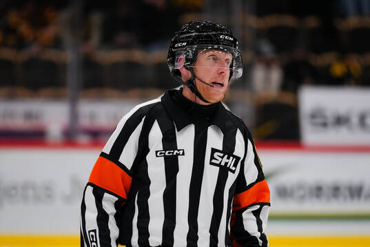 Domare Mikael Holm