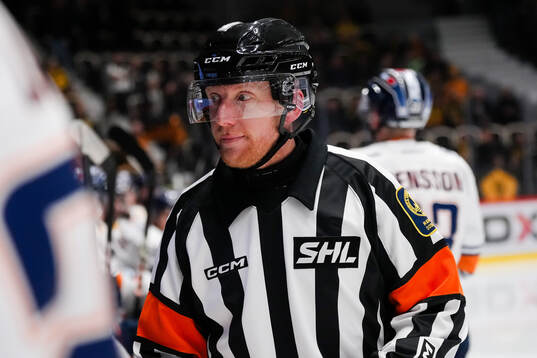 Domare Mikael Holm