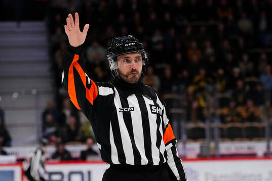 Domare Mattias Enroth