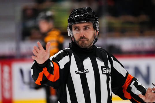 Domare Mattias Enroth