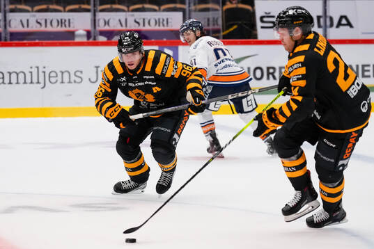 Skellefteås Rickard Hugg