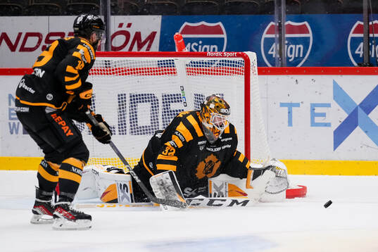 Skellefteås målvakt Linus Söderström