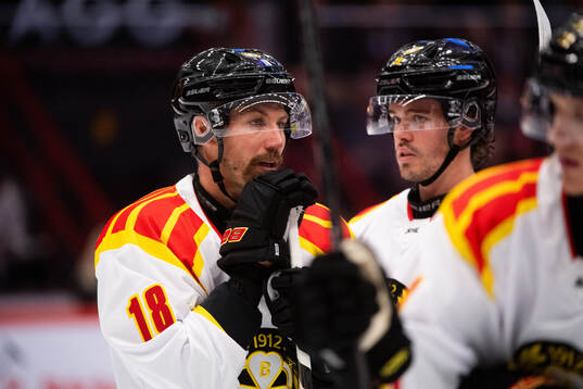 Brynäs Anton Rödin