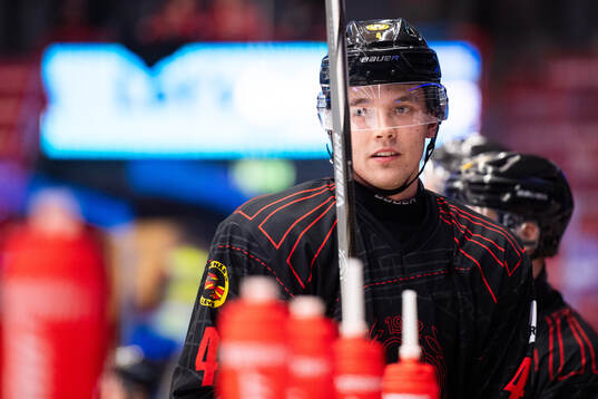 Brynäs Theo Lindstein