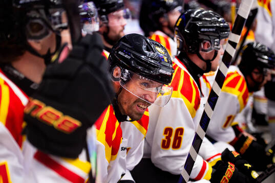 Brynäs Jordan Schroeder