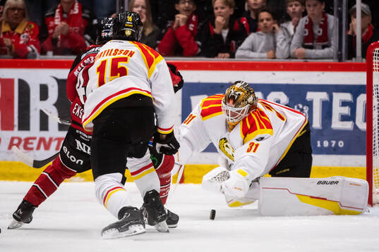 Brynäs målvakt Erik Källgren