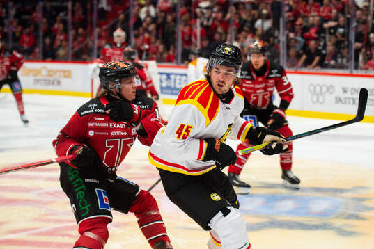 Brynäs Charles-Édouard D'astous
