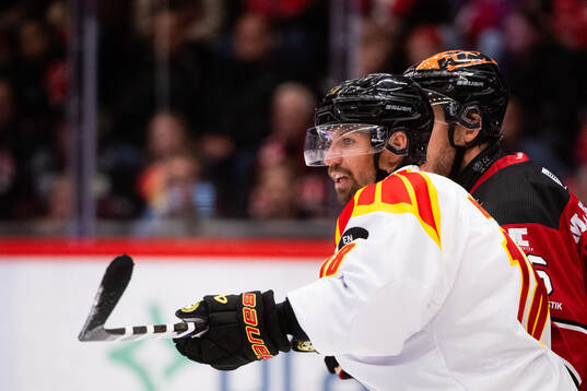 Brynäs Anton Rödin